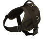 All Weather Pulling Rottweiler Harness for Service Dogs