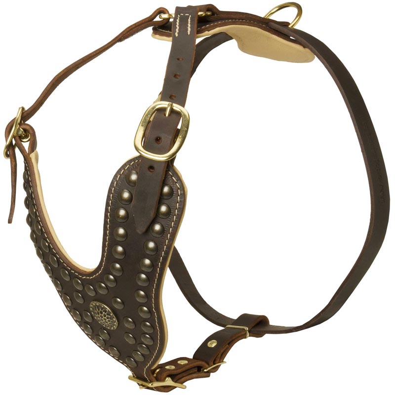 Royal Nappa Padded Studded Leather Rottweiler Harness