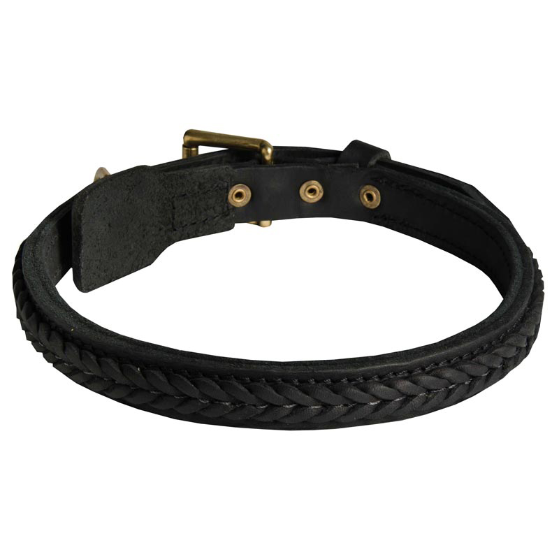 1 Inch Gorgeous Braided Leather Dog Collar for Rottweiler