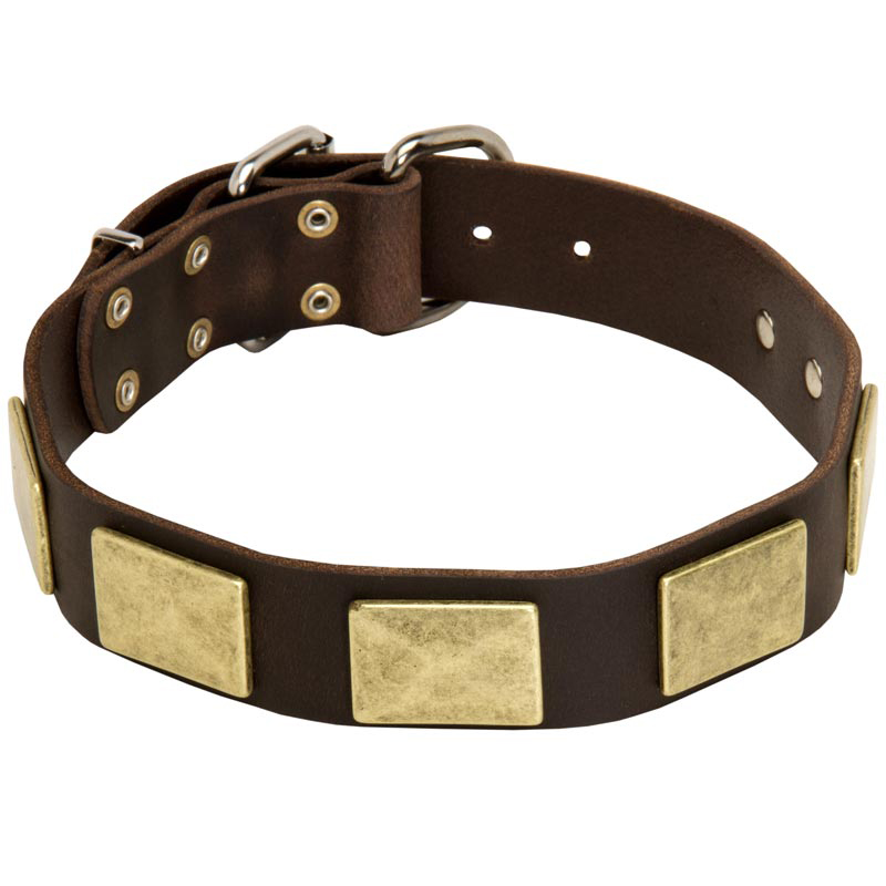 Stylish Leather Rottweiler Collar with Vintage Brass Plates