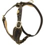 Custom Leather Designer Harness for Rottweiler Walking