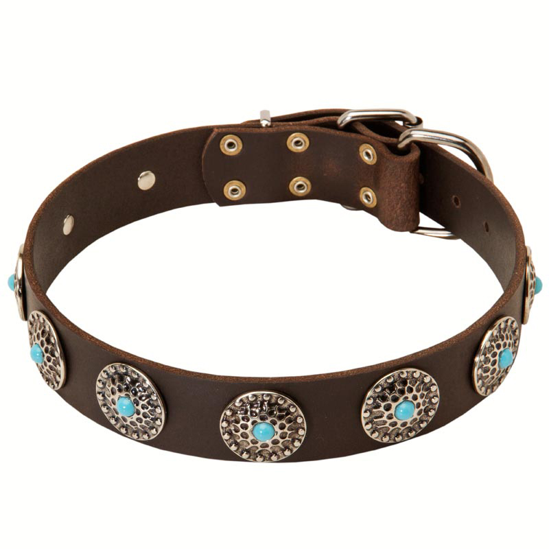 Leather Rottweiler Collar with Nickel Plated Circles and Blue Stones
