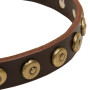 Designer Leather Dog Collar with Circles Rottweiler