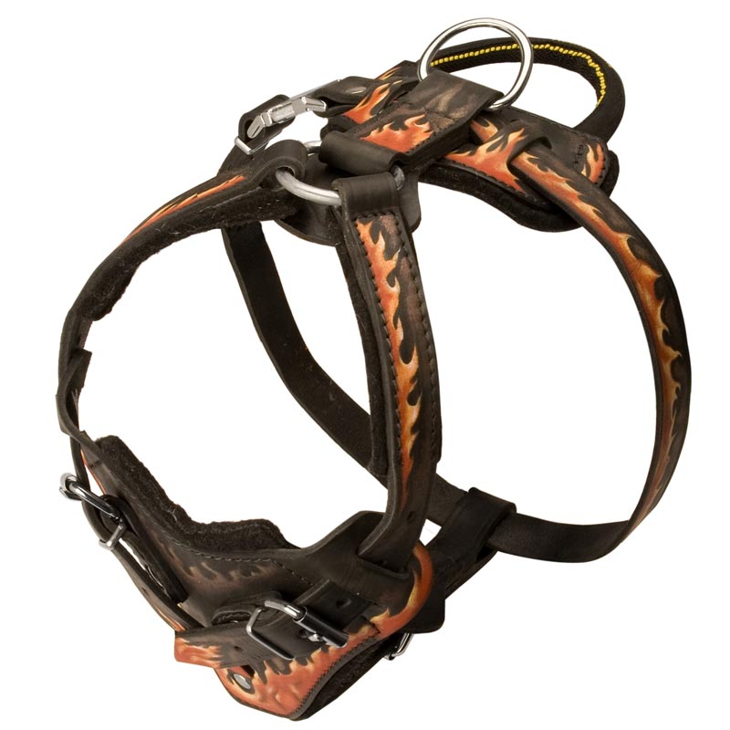 Flamed Durable Rottweiler Harness for Agitation/Protection Training