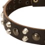 Designer Leather Studded Dog Collar Rottweiler