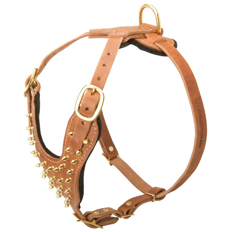 Professional Exclusive Leather Rottweiler Harness with Brass Spikes