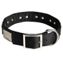 Designer Wide Nylon Dog Buckle Collar Rottweiler Walking