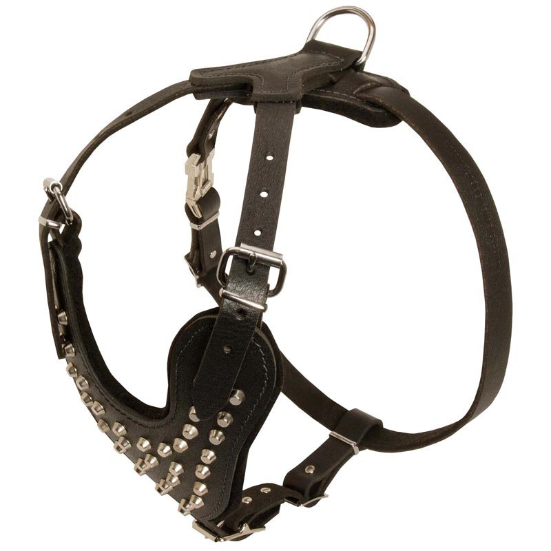 Handmade Leather Rottweiler Harness with Pyramids