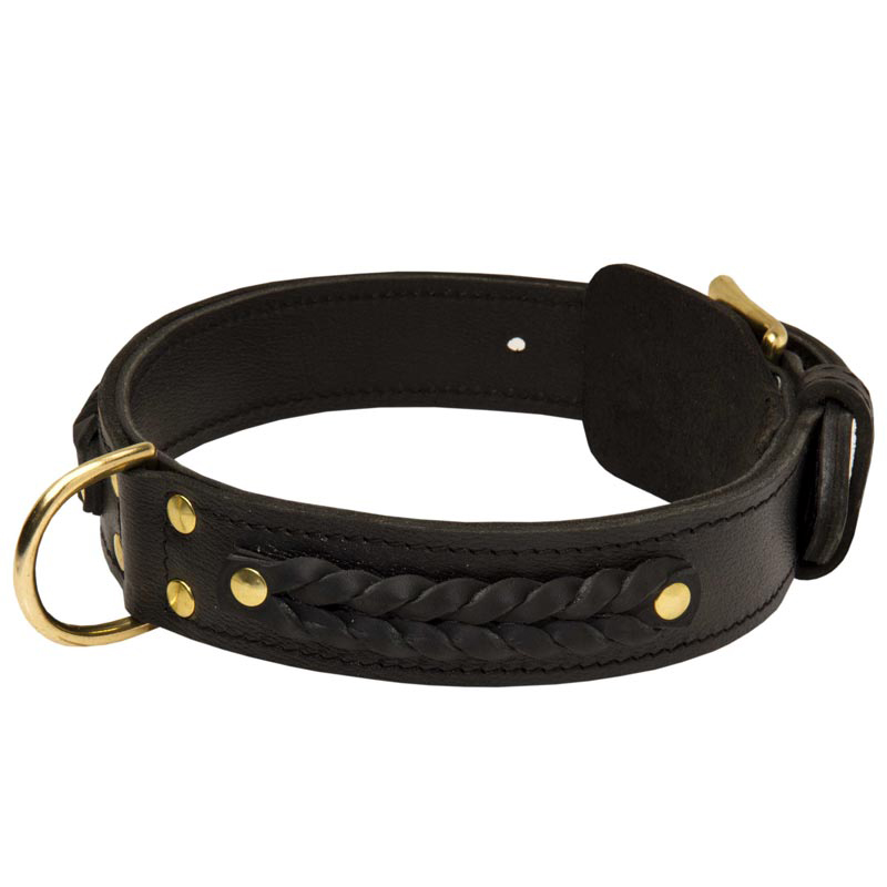 2 Ply Leather Rottweiler Collar with Elegant Braids