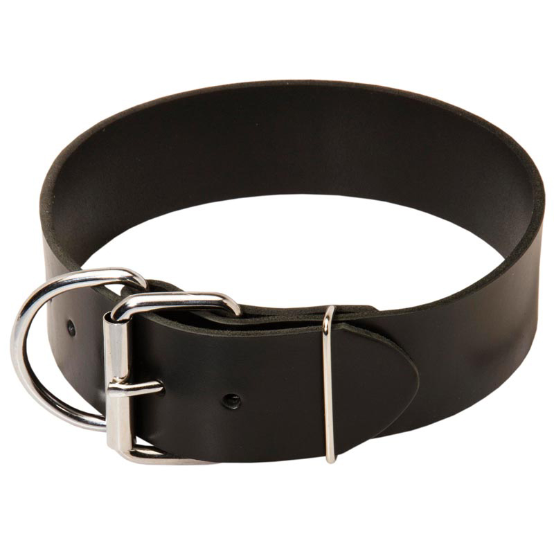 2 Inch Leather Dog Collar for 