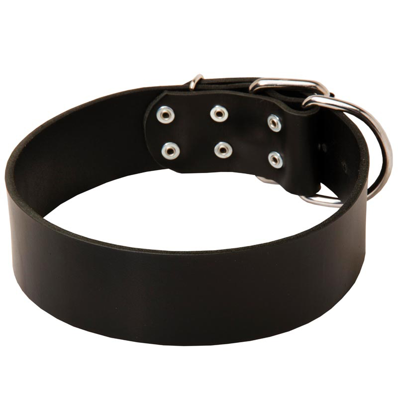 2 Inch Leather Dog Collar for Rottweiler Walking and Training