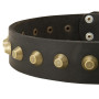 Extra Wide Leather Dog Collar with Brass Pyramids Rottweiler