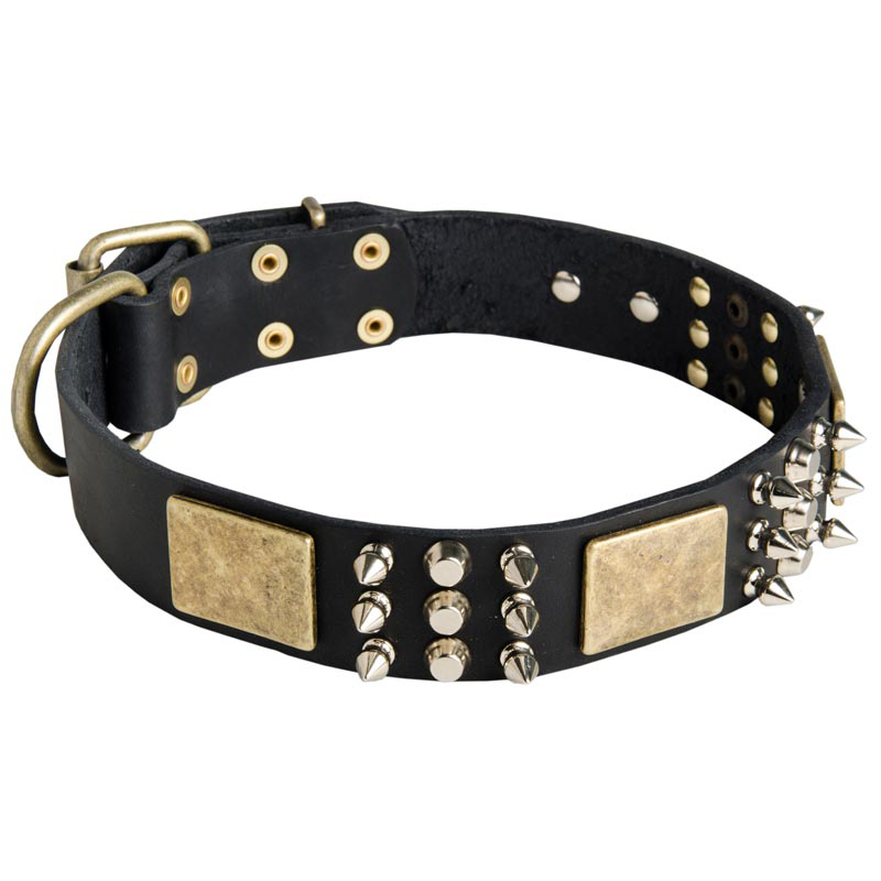 Leather Rottweiler Collar with Brass Massive Plates, Nickel Cones and Spikes