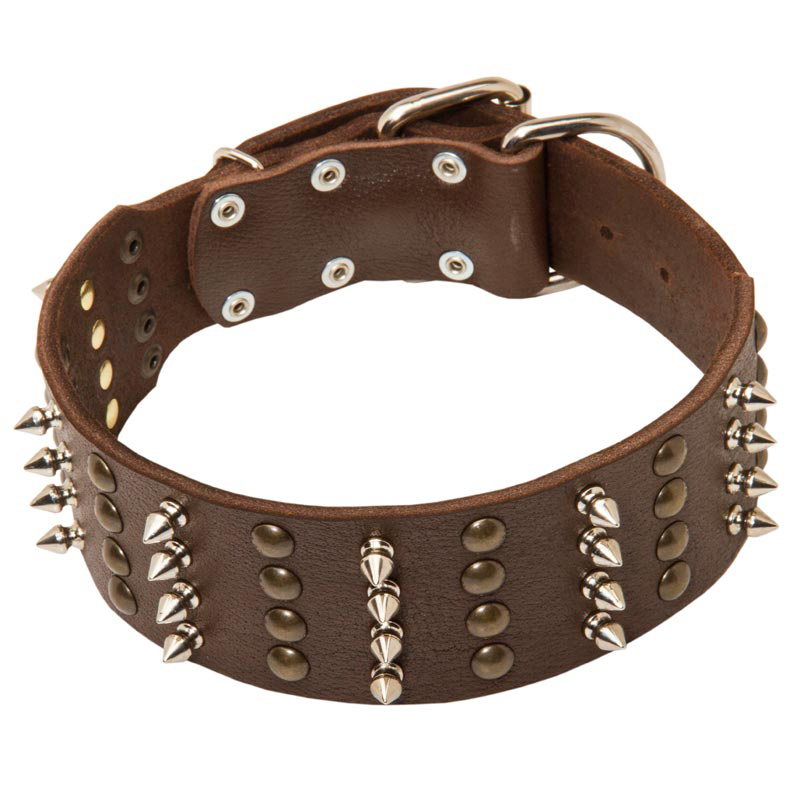 Wide Leather Rottweiler Collar with Studs and Spikes