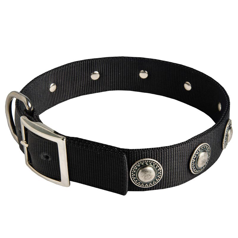 Fashionable Nylon Rottweiler Collar with Nickel Plated Silver-Like Conchos
