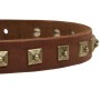 Fancy Dog Collar with Studs Rottweiler