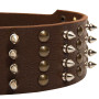Fancy Extra Wide Leather Dog Collar with Spikes Brass Pyramids Rottweiler