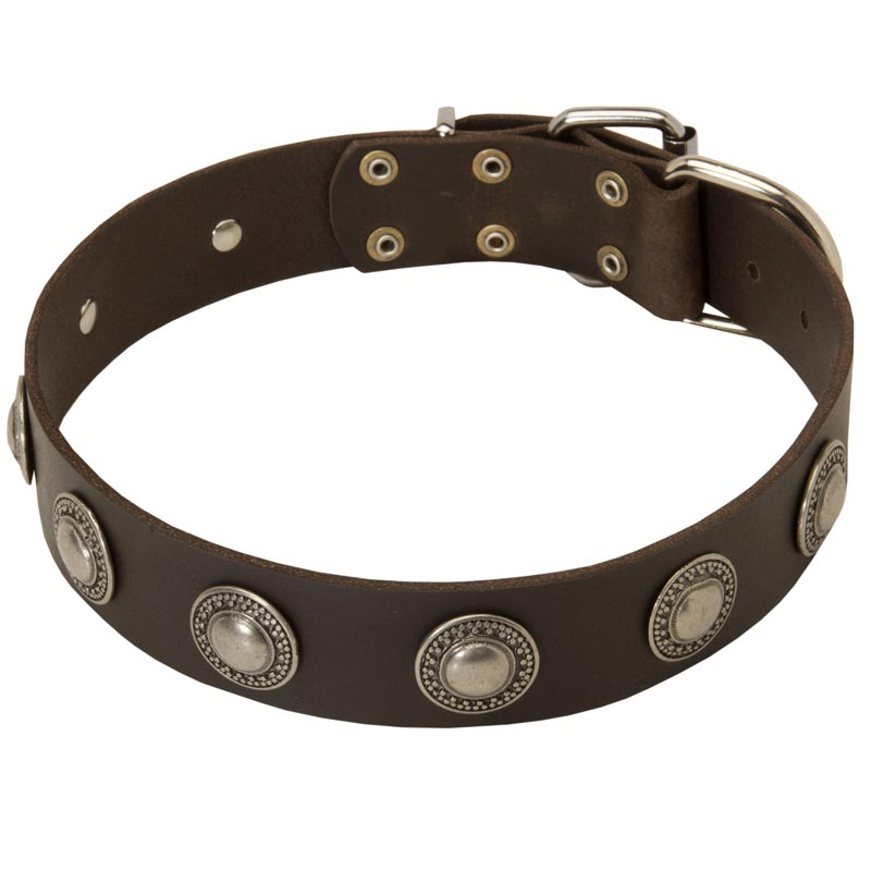 Deluxe Leather Dog Collar with Decorative Circles for Rottweiler