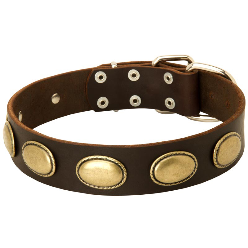 Vintage Leather Dog Collar with Oval Plates for Rottweiler