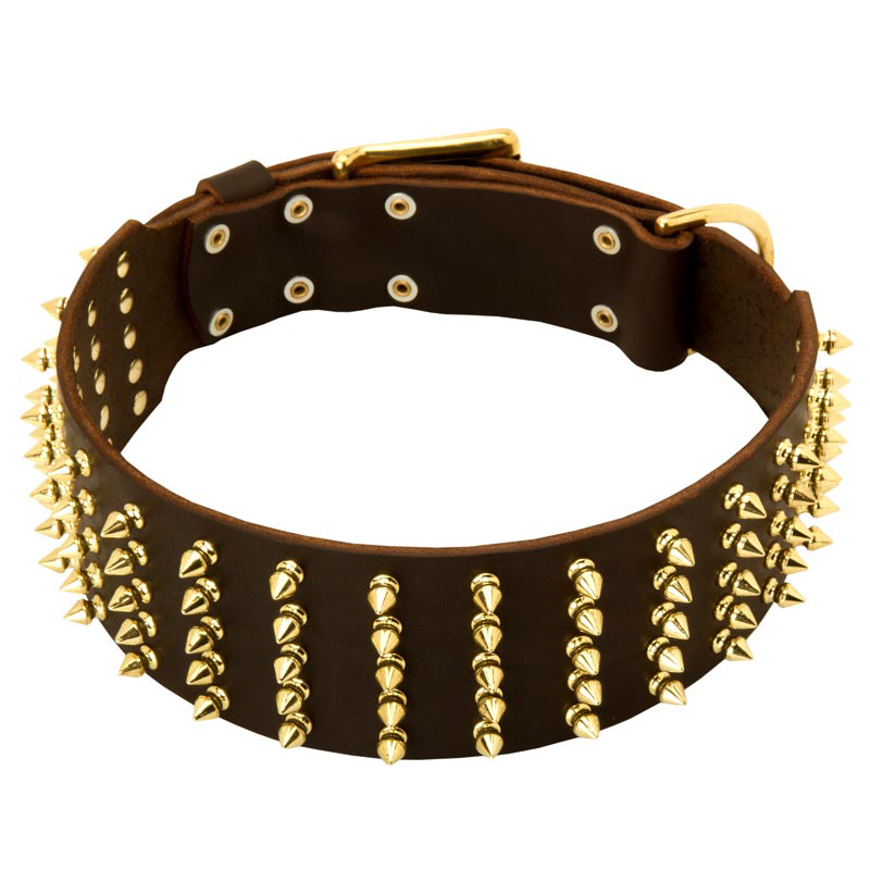 3 Inch Decorated Leather Rottweiler Collar with 5 Rows of Brass Spikes