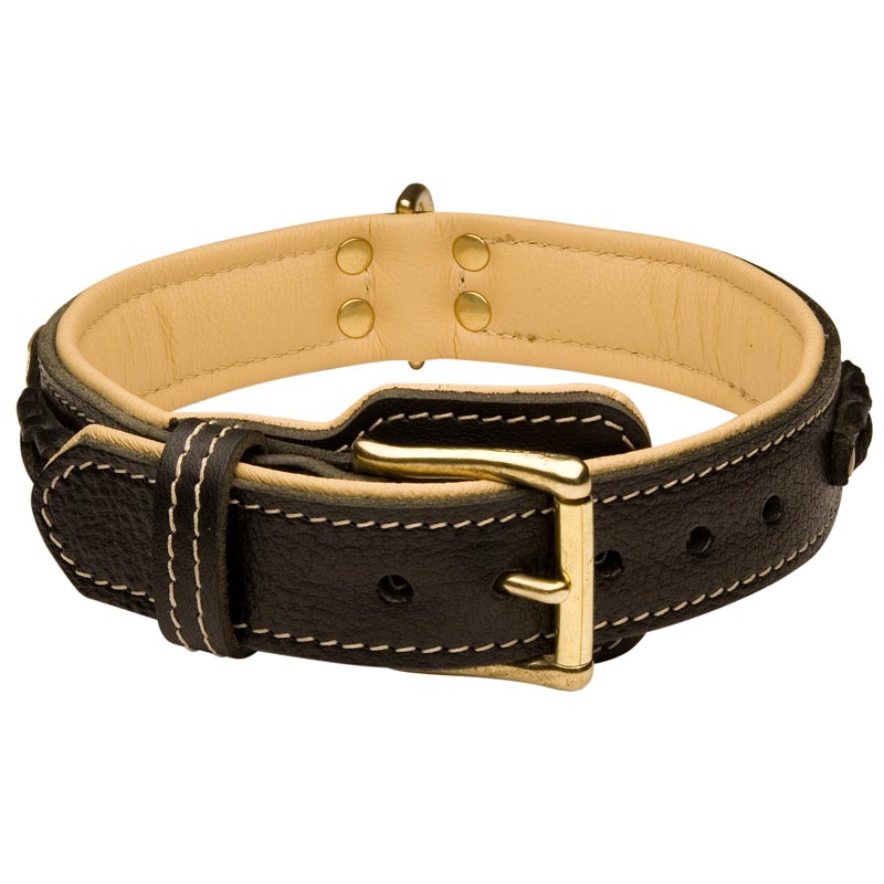 Handmade Royal Nappa Padded Leather Rottweiler Collar