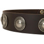 Fashion Leather Dog Collar with Conchos Rottweiler