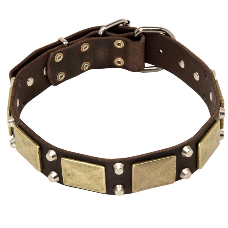 Antique Leather Rottweiler Collar with Brass Plates and Nickel Pyramids