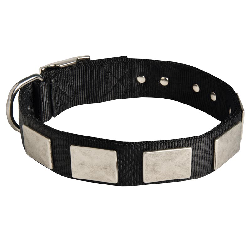 Nylon Rottweiler Collar with Exclusive Vintage Plates