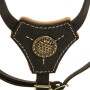 Fashion Puppy Harness Rottweiler Dog Gear