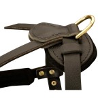 Felt Padded Dog Harness with D-Ring for Rottweiler