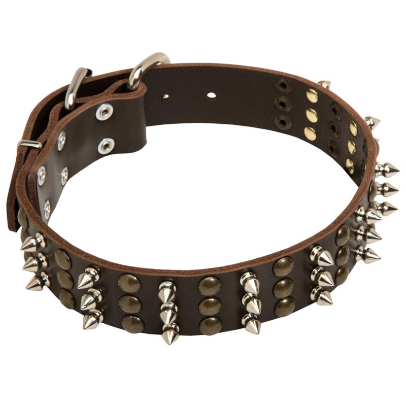 Studded and Spiked Leather Rottweiler Collar for Walking