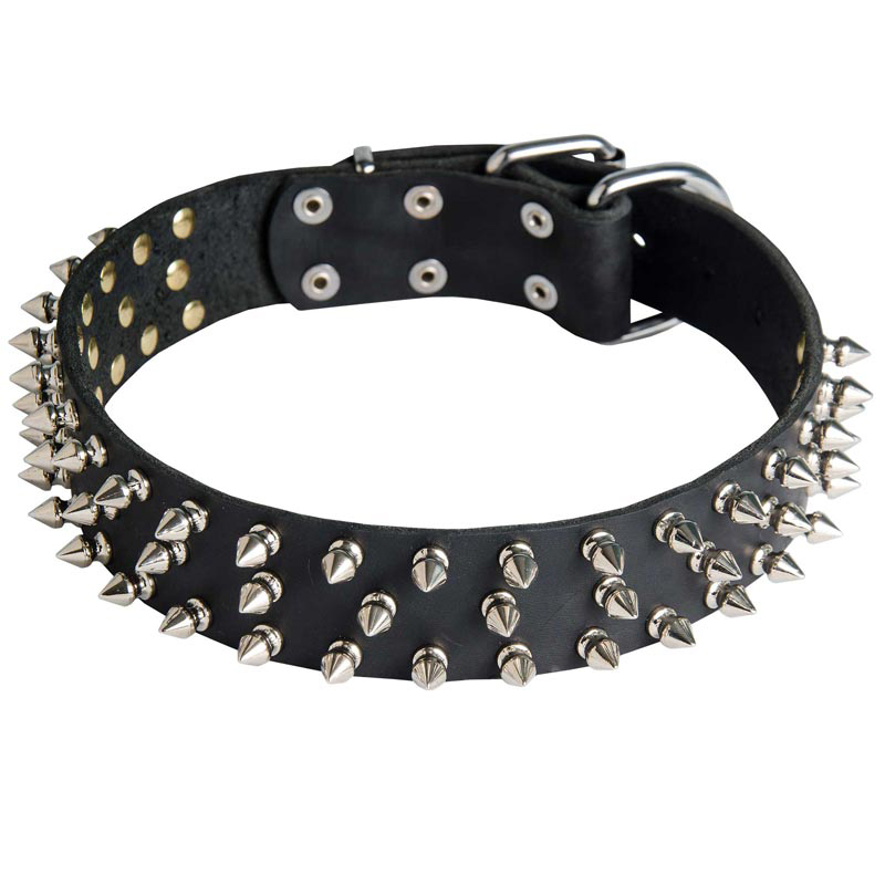 Stylish Leather Rottweiler Collar with 3 Rows of Nickel Plated Spikes