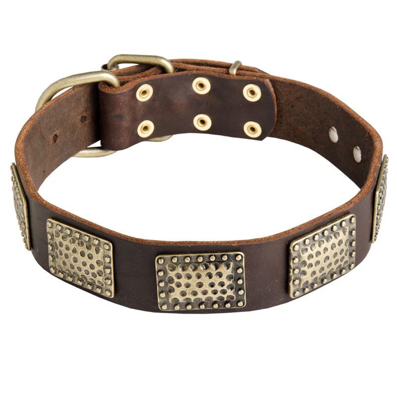 War Design Leather Dog Collar with Vintage Brass Plates for Rottweiler