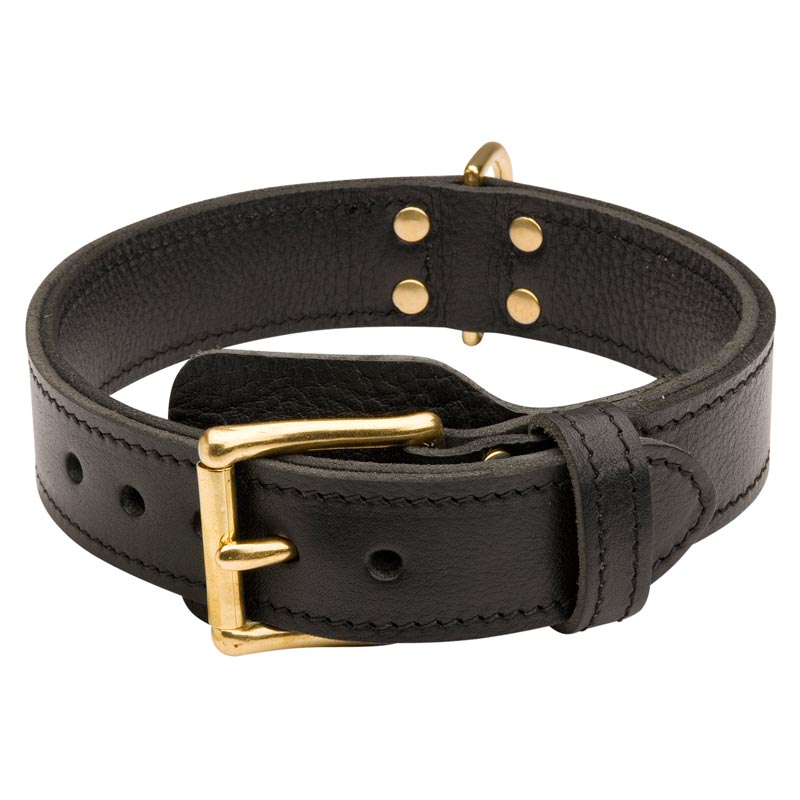 Agitation Training Leather Dog Collar for Rottweilers