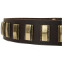 Leather Rottweiler Collar with Plates
