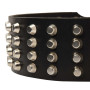 Leather Dog Collar with Studs Rottweiler Breed