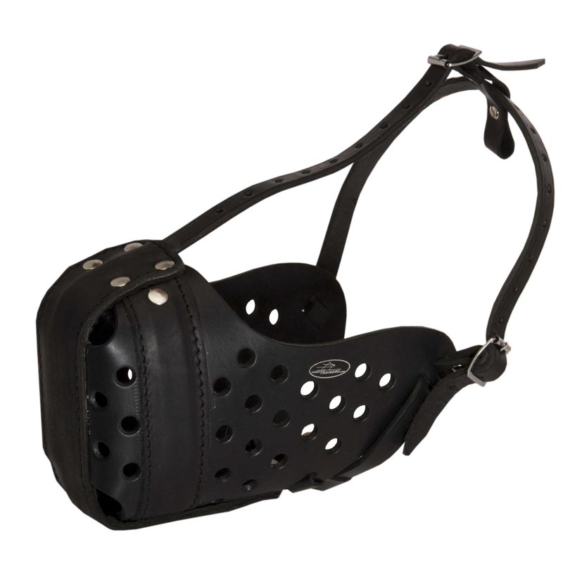 Durable Leather Rottweiler Muzzle for Attack/Agitation Training