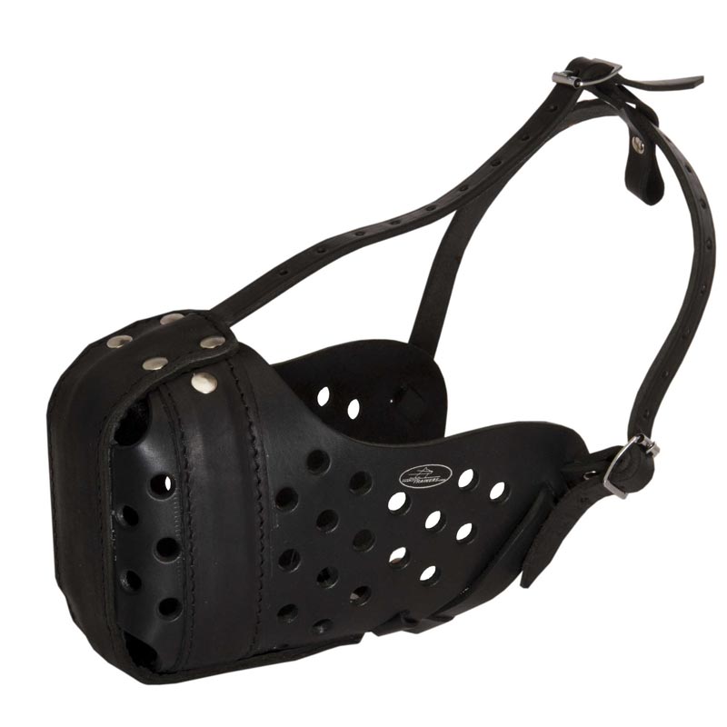 Leather Dog Muzzle for Rottweiler Walking