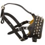 Leather Padded Rottweiler Muzzle Spiked