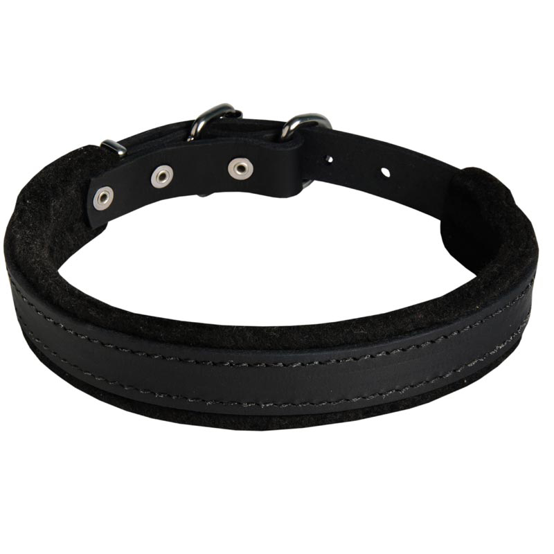 1 Inch Leather Rottweiler Collar with Soft Padding