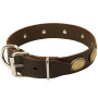 Leather Rottweiler Collar Dog Store