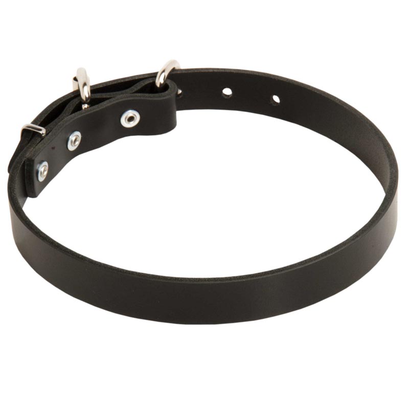 1 Inch Simple Design Durable Leather Rottweiler Collar