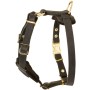 Leather Rottweiler Harness for Puppies Dog Puppy Gear