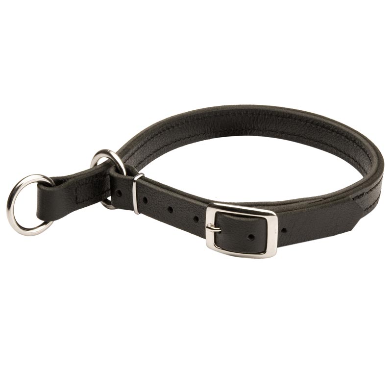 1 Inch Easily Adjustable Leather Dog Choke Collar for Rottweiler