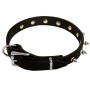 Leather Spiked Dog-Collar Rottweiler Everyday Walking