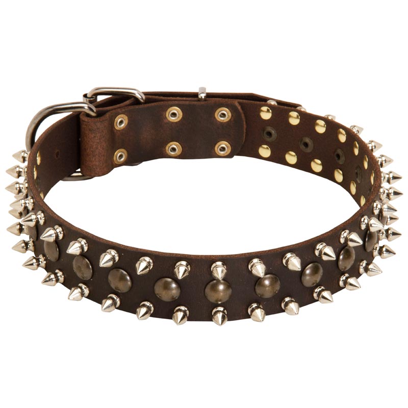 Leather Rottweiler Collar with Brass Studs and Nickel Spikes