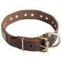 Leather War Rottweiler Buckle Collar Pet Store