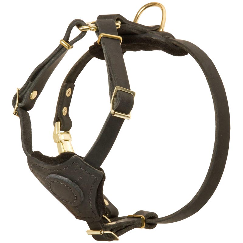Small Leather Rottweiler Harness for Puppy Training/Walking