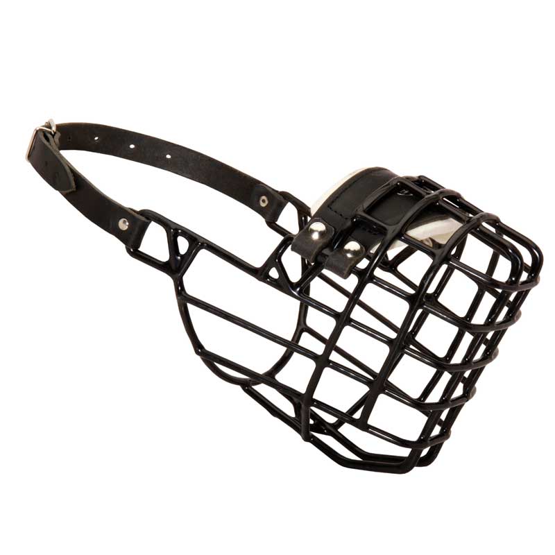 Metal Cage Rottweiler Muzzle Padded for Winter Walking Dog