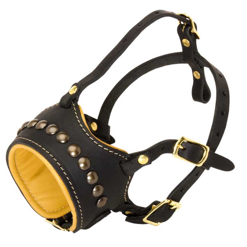 Open Nose Designer Studded Leather Rottweiler Muzzle